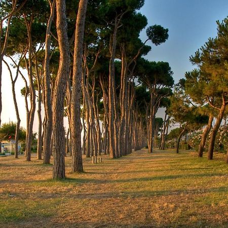 Green Bay Village Pineto Ngoại thất bức ảnh