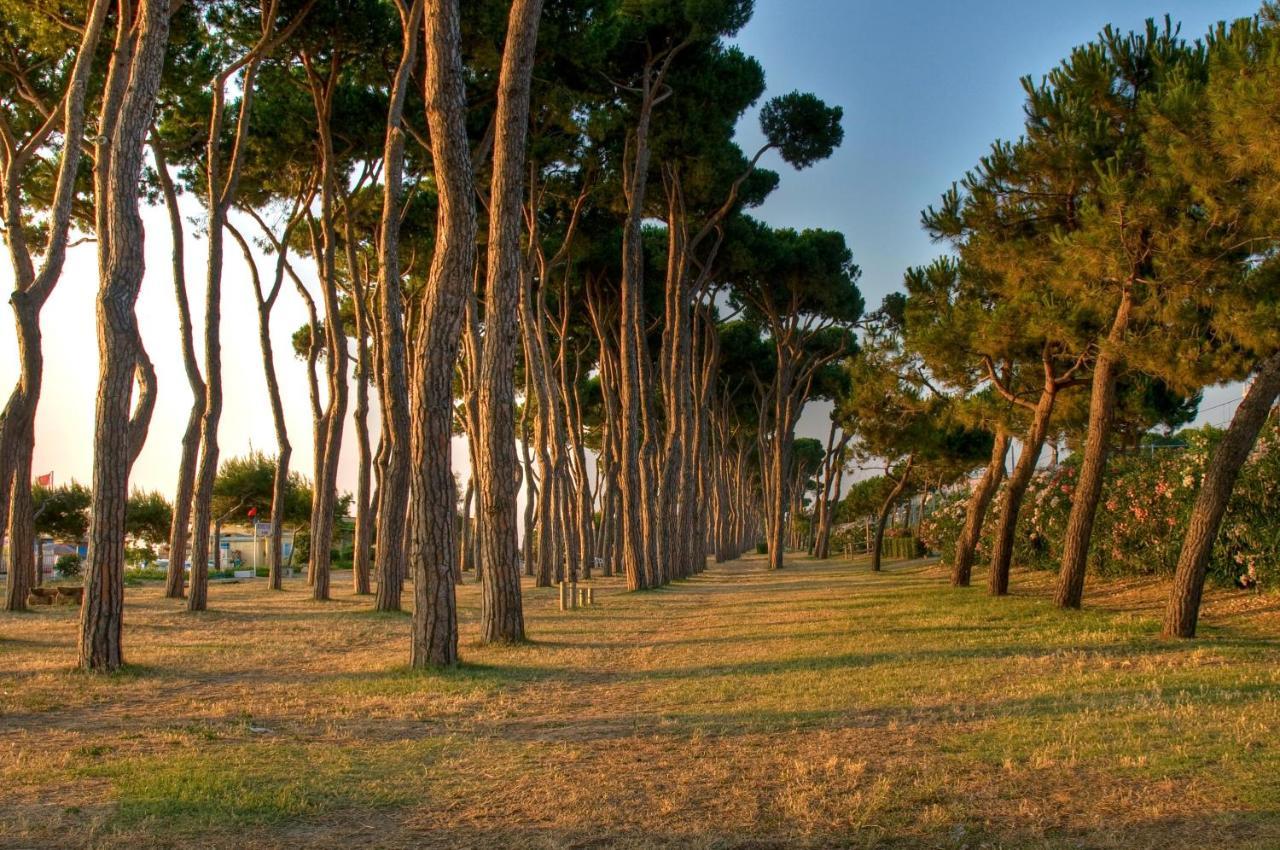 Green Bay Village Pineto Ngoại thất bức ảnh